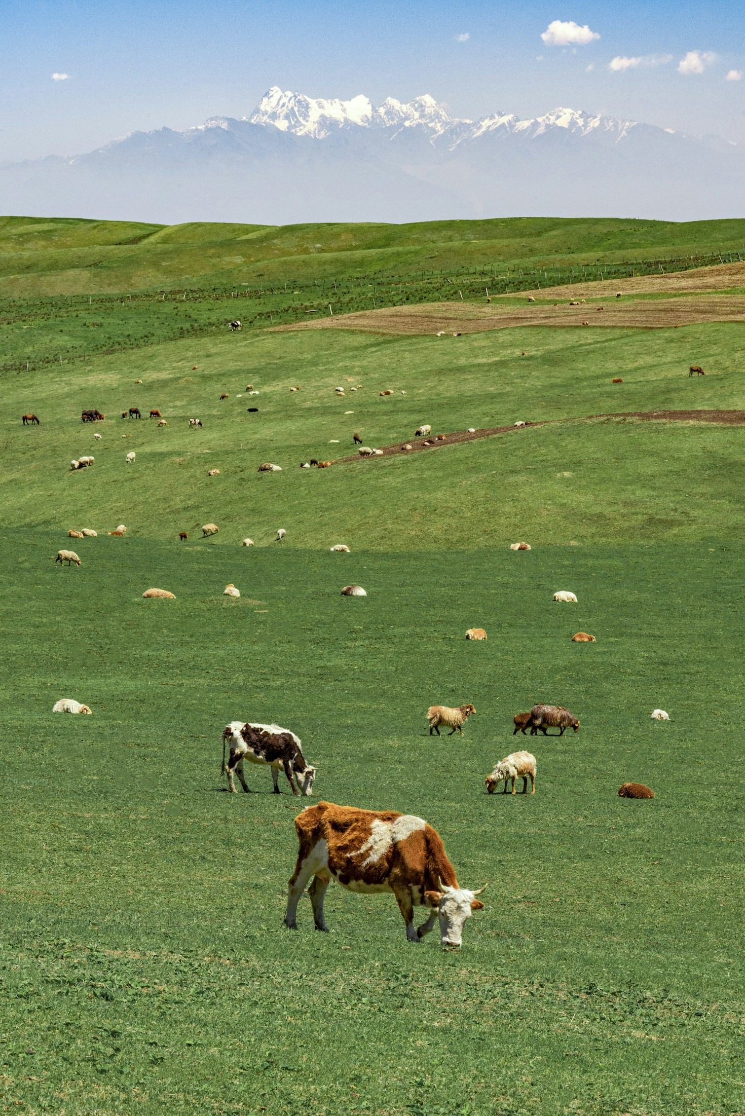 Ein Tag im Dorf der Tiere erleben